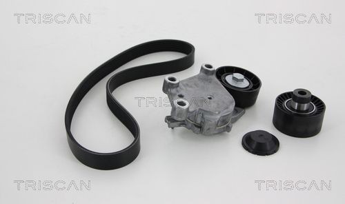 TRISCAN Kileremsett 8642 10003 8642 10003 Multireim sett TRISCAN VOLVO S60