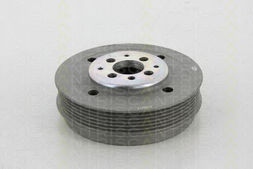 TRISCAN Poulie damper (vilebrequin) 8643 10011 Volkswagen TOURAN Poulie de vilebrequin TRISCAN 8643 10011