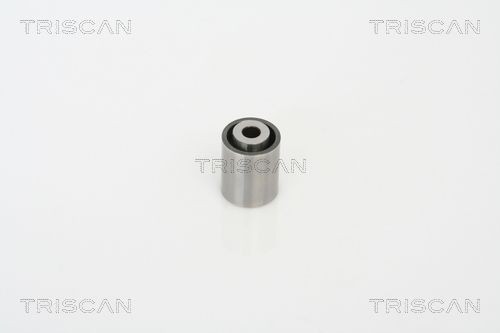 TRISCAN Polia de desvio / de guia, correia dentada 8646 18205 8646 18205 Polia de desvio / de guia, correia dentada HYUNDAI TUCSON TRISCAN