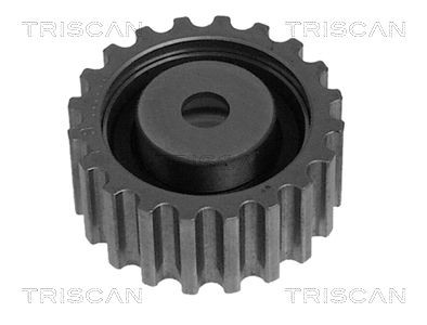 TRISCAN Ohjainrulla, hammashihna 8646 25204 8646 25204 TRISCAN Ohjainrulla, hammashihna RENAULT GRAND SCÉNIC