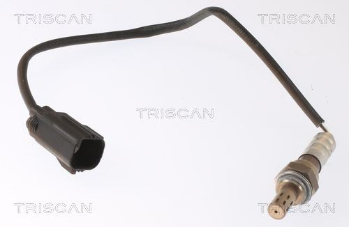 TRISCAN Võlli rõngastihend, Nukkvõll 8648 28001 Nukkvõlli õlitihend TRISCAN Seat ALTEA 8648 28001