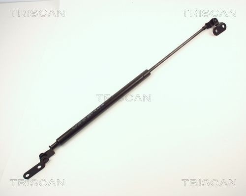 TRISCAN Kaasujousi, tavaratila 8710 14202 8710 14202 TRISCAN Takaluukun kaasujouset NISSAN CHERRY