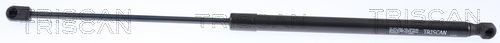 TRISCAN Gasfjäder till baklucka 8710 14221 8710 14221 TRISCAN gasfjäder bagageutrymme Nissan SUNNY