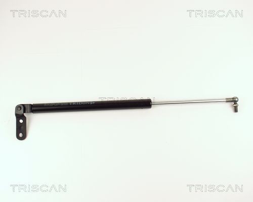 TRISCAN Gaasivedru, pagasi- / veoruum 8710 14226 Luugiamordid TRISCAN Jeep WRANGLER 8710 14226