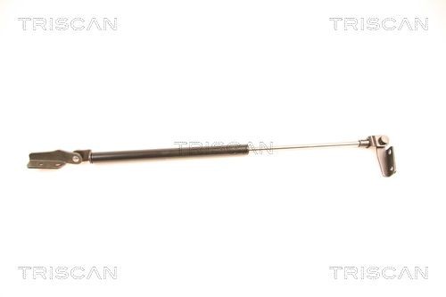 TRISCAN Gāzes atspere, Bagāžas / Kravas nodalījuma vāks 8710 14232 Bagāžnieka amortizatori SMART TRISCAN 8710 14232