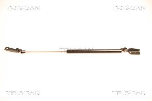 TRISCAN Gāzes atspere, Bagāžas / Kravas nodalījuma vāks 8710 14233 Bagāžnieka amortizatori TRISCAN ESCAPE 8710 14233 lēti