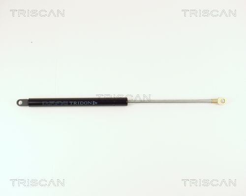 TRISCAN Gaasivedru, pagasi- / veoruum 8710 15214 Luugiamordid TRISCAN COUPE 8710 15214 odav