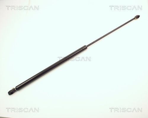 TRISCAN Gāzes atspere, Bagāžas / Kravas nodalījuma vāks 8710 2004 8710 2004 Bagāžnieka amortizatori PORSCHE TAYCAN TRISCAN