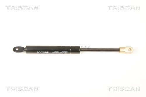 TRISCAN Gāzes atspere, Bagāžas / Kravas nodalījuma vāks 8710 20202 Bagāžnieka amortizatori TRISCAN TAYCAN 8710 20202 lēti