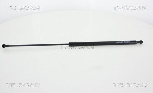 TRISCAN Gasveer achterklep 8710 28243 Kofferbakveer TRISCAN 405 8710 28243 goedkoop