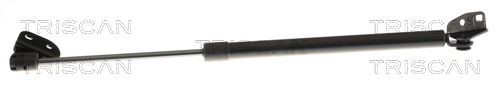 Gasveer achterklep TRISCAN 8710 43211 TRISCAN 8710 43211 Gasdrukveer HYUNDAI ATOS 2001