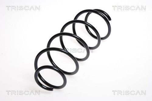 TRISCAN Chassisveer 8750 2392 Smart CITY-COUPE Springveer TRISCAN 8750 2392