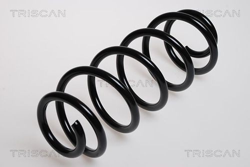TRISCAN Spiralfjäder 8750 29061 8750 29061 TRISCAN fjädrar AUDI A2