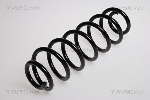 TRISCAN Fjeder 8750 29129 8750 29129 Fjeder SMART CITY-COUPE TRISCAN