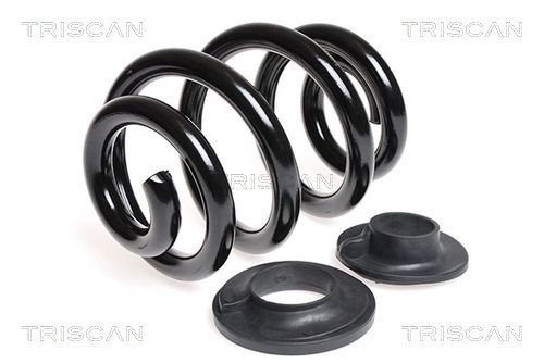TRISCAN Spiralfjäder 8750 29136 8750 29136 TRISCAN spiralfjädrar VW PASSAT