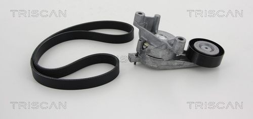 TRISCAN Spiralfjäder 8750 6920 SUZUKI Alto IV (EF) Fjädrar TRISCAN 8750 6920