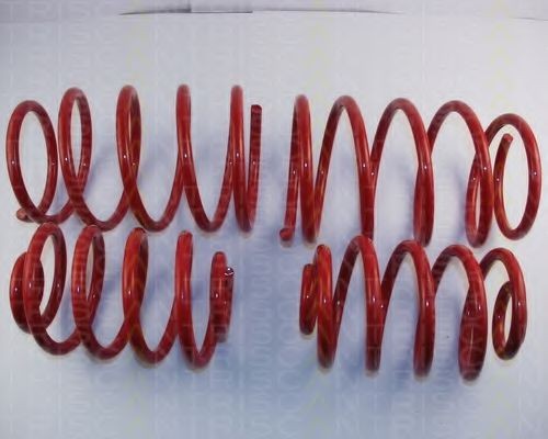 TRISCAN Ültetőrugó 8755 11013 TRISCAN Sport futómű 8755 11013 vélemények