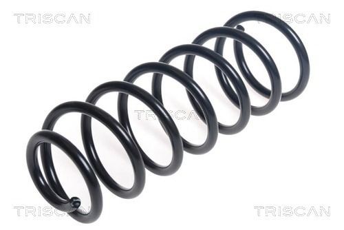 TRISCAN Sēdinātās atsperes 8755 11015 8755 11015 Balstiekārtas komplekts atsperes BMW X6 TRISCAN