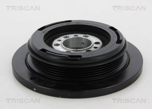 TRISCAN Sada vinutých prużín tlmičov pérovania 8755 14009 8755 14009 Sada prużín NISSAN NV400 TRISCAN