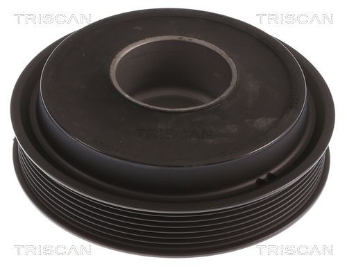TRISCAN Vedrustusekomplekt, vedrud 8755 27008 8755 27008 TRISCAN Sportvedrustus Kia odav