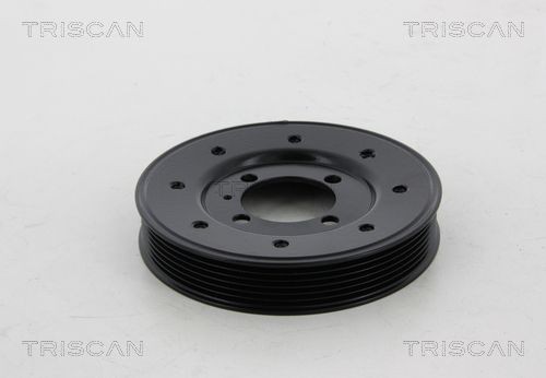 TRISCAN Upphängningssats, spiralfjädrar 8755 29001 8755 29001 TRISCAN sänkfjädrar AUDI 100