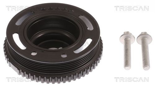 TRISCAN Vedrustusekomplekt, vedrud 8755 29005 Kit vedrud TRISCAN TRANSPORTER 8755 29005 odav