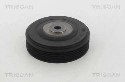 TRISCAN Vedrustusekomplekt, vedrud 8755 29028 Sportvedrustus KIA TRISCAN 8755 29028