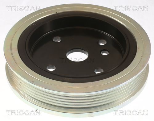 TRISCAN Sada vinutých prużín tlmičov pérovania 8755 29038 Sada prużín TRISCAN Nissan NV400 8755 29038