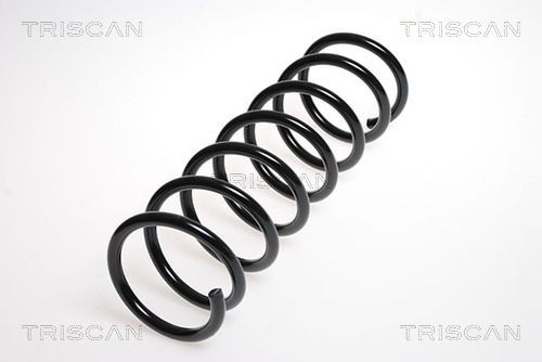 TRISCAN Σετ καροσσερί, ελατήρια 8755 40003 Σπορ ανάρτηση TRISCAN 8755 40003 φθηνά