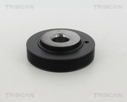 TRISCAN Vedrustusekomplekt, vedrud 8755 40008 Sportvedrustus TRISCAN KIA 8755 40008