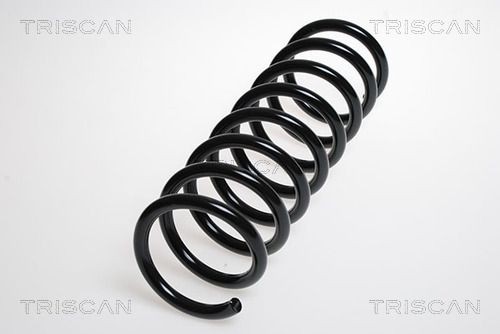 TRISCAN Zestaw zawieszenia, sprężyny śrubowe 8755 66001 Zawieszenie sportowe TRISCAN 8755 66001 tanie