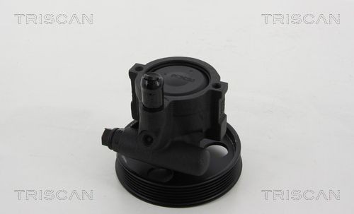 TRISCAN Veerbol 8760 38106 TRISCAN 8760 38106 Autovering CITROËN CX II Station Wagon 1987