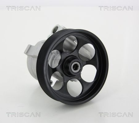 TRISCAN Acumulador de pressão, suspensão / amortecimento 8760 38213 TRISCAN Acumulador de pressão 8760 38213 avaliação