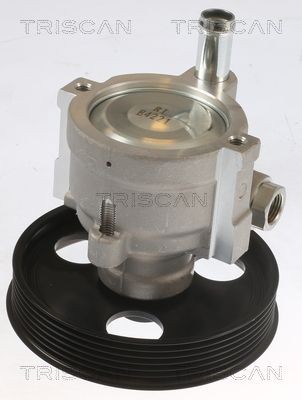 TRISCAN Trykakkumulator, fjederdæmpning 8760 38217 TRISCAN Trykakkumulator SUBARU 8760 38217