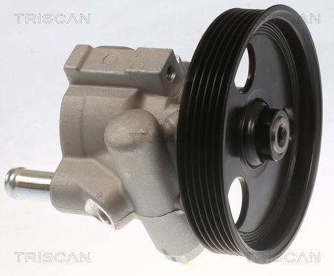 TRISCAN Jousikammio, jousitus / vaimennus 8760 38219 8760 38219 TRISCAN Paineakut NISSAN CABSTAR E