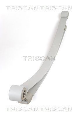 TRISCAN Lames de ressort 8765 23018 Lame de suspension MERCEDES-BENZ TRISCAN 8765 23018
