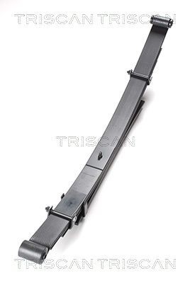 TRISCAN Bladfjeder 8765 42009 8765 42009 Bladfjeder TRISCAN MAZDA 323
