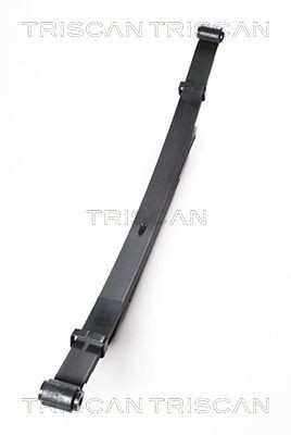 TRISCAN Listová pružina 8765 50005 cena Pružina listová Mazda BG 8765 50005 TRISCAN