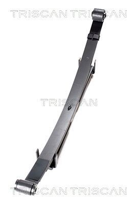 TRISCAN Bladfjäder 8765 69002 8765 69002 TRISCAN bladfjäderpaket RENAULT Symbol