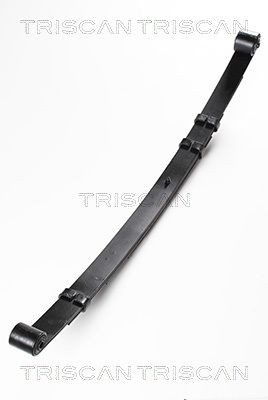 Molas de lâminas TRISCAN 8765 80006 TRISCAN 8765 80006: Molas de lâminas Jeep CHEROKEE 2013