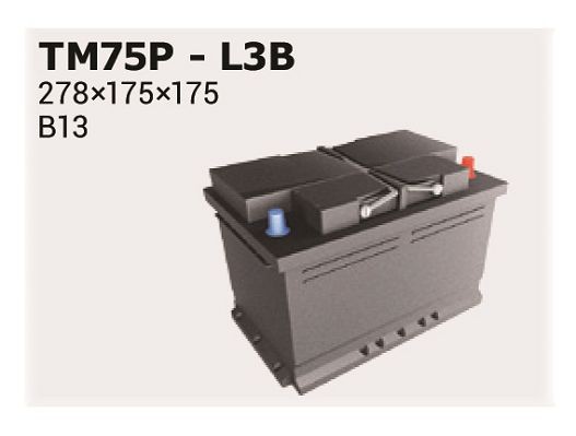IPSA Accu TM75P MG MIDGET Autobatterijen IPSA TM75P