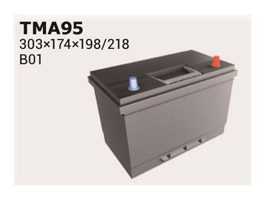 IPSA Batteria TMA95 TMA95 costo Batteria IPSA JEEP AVENGER