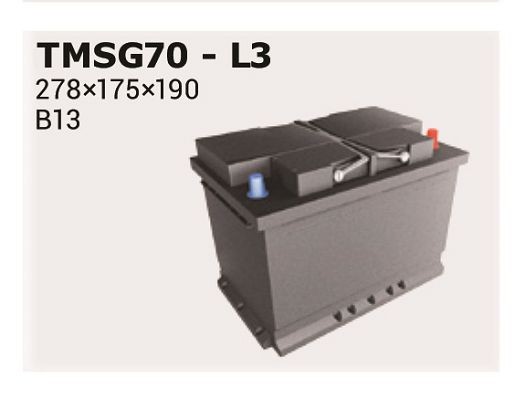 IPSA Batteri TMSG70 TMSG70 Batteri IPSA RENAULT 19