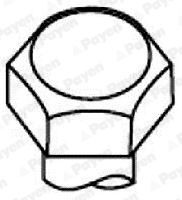 PAYEN Jogo de parafusos da cabeça do motor HBS520 Parafuso de cabeçote PAYEN CONCERTO HBS520 baratos