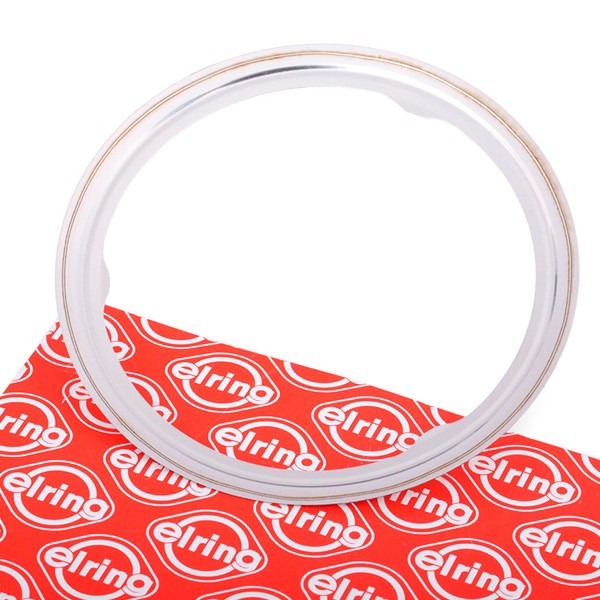 ELRING Junta, tubo de escape 137.171 ELRING 137.171 Juntas de escape BMW E71 a um preço acessível