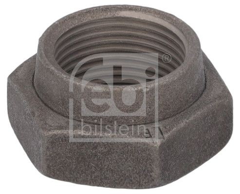FEBI BILSTEIN Matica koncového čapu nápravy 19159 Matica koncového čapu nápravy FEBI BILSTEIN Citroën BERLINGO 19159