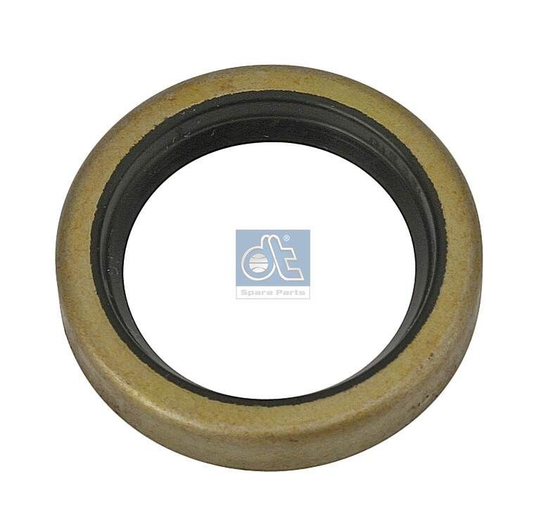DT Spare Parts Keerring, differentieel 4.20175 Keerring, differentieel DT Spare Parts SPACE WAGON 4.20175 goedkoop