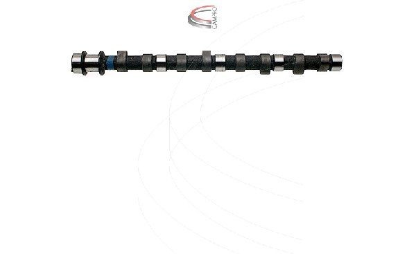 CAMPRO Vačkový hriadeľ CP17606 Vačkový hriadeľ CAMPRO LANCER CP17606 lacné