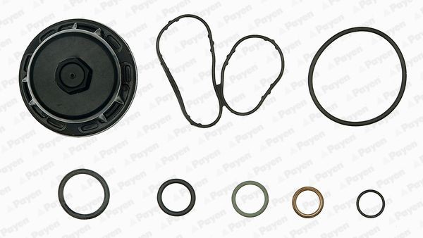 PAYEN Pakkingsset, motorblok EG9760 Pakkingsset motorblok PAYEN SKYLINE EG9760 goedkoop