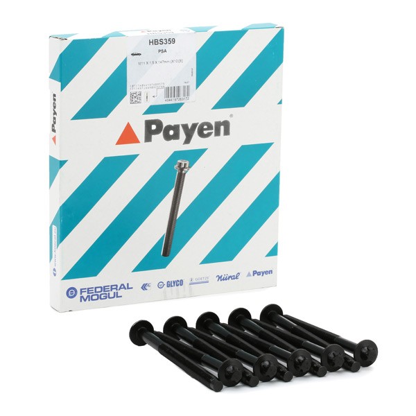PAYEN Klapikaanekruvikomplekt HBS359 Plokikaane poldid MINI PAYEN HBS359
